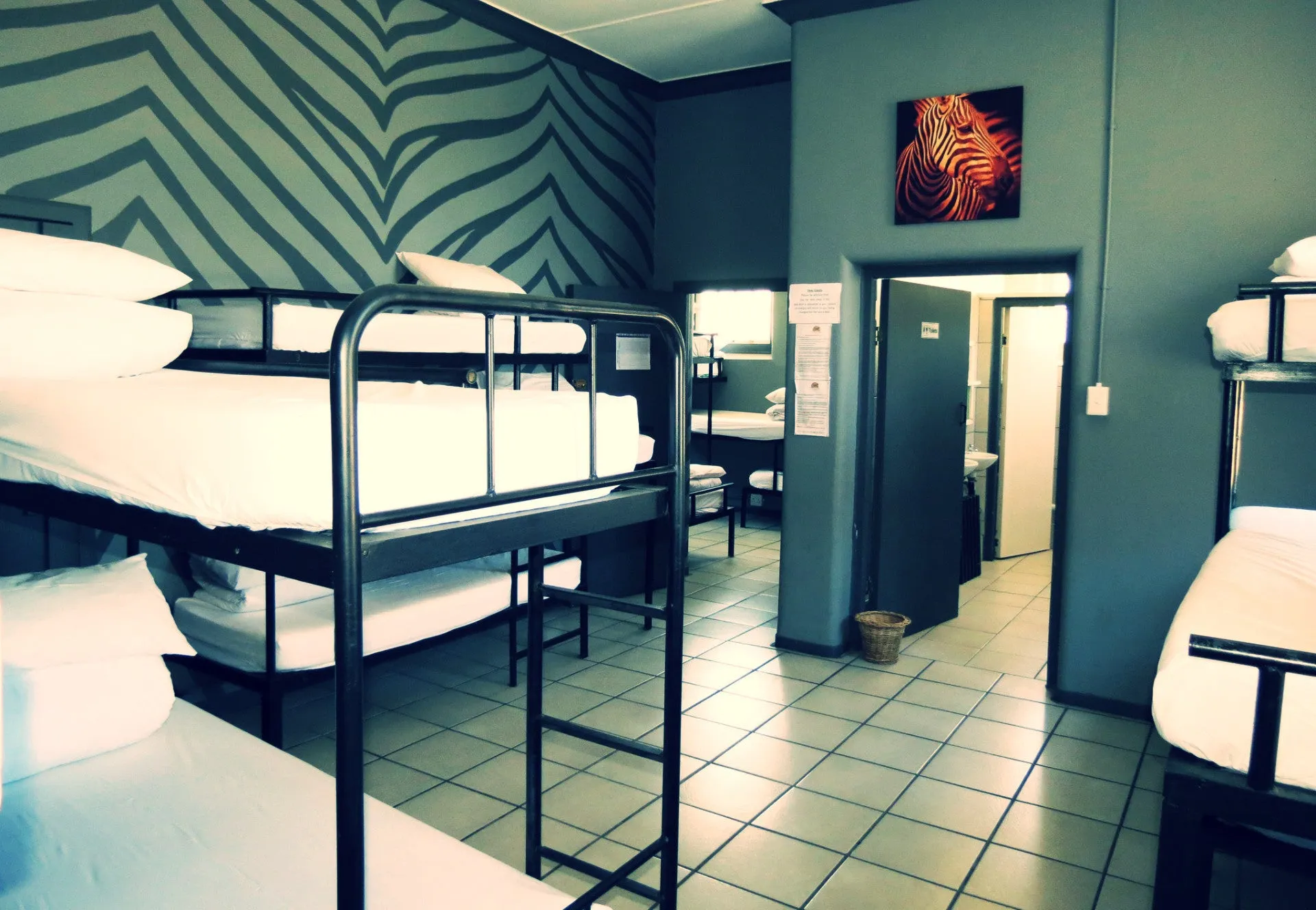 15 Bed Mixed Dorm En-Suite (Male and Female)