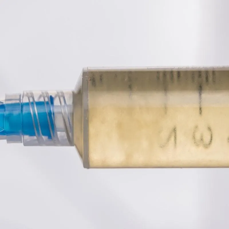 Organic Elm Oyster Mushroom Liquid Culture Syringe