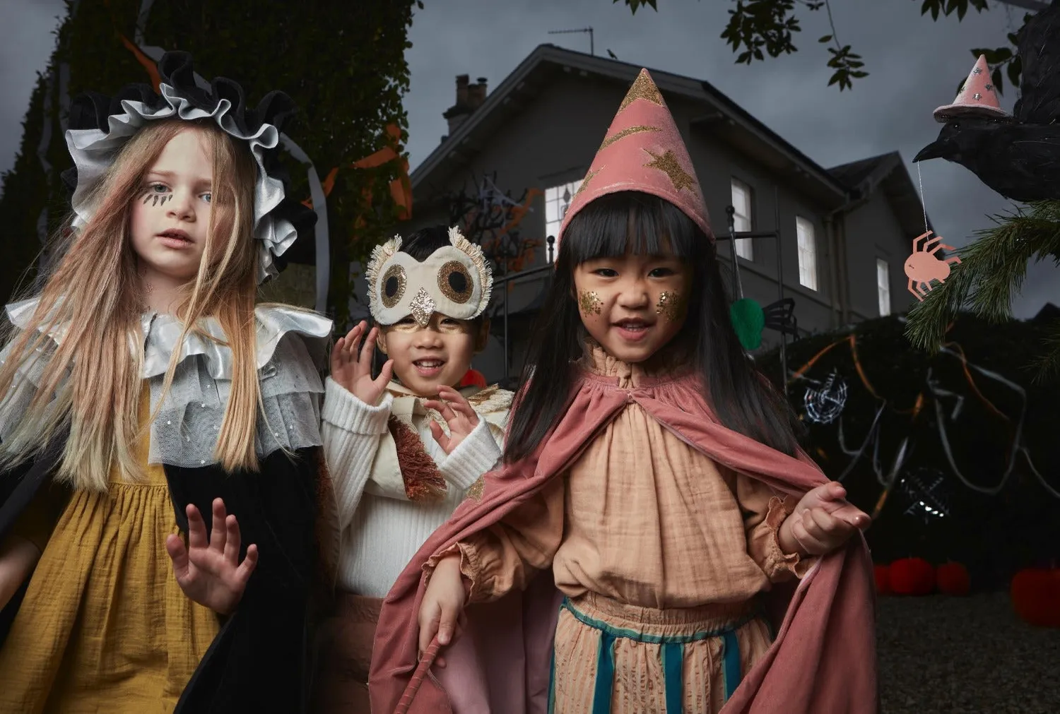 Pink Velvet Wizard Costume