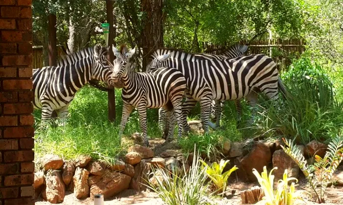 Western Cape: 2-Night Stay for Two including Breakfast & Dinner at Kruger Riverside Lodge